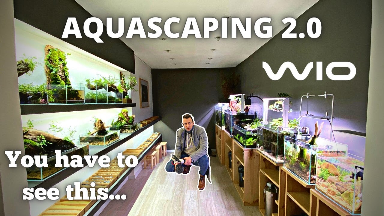 THIS COMPANY IS TAKING AQUASCAPING TO THE NEXT LEVEL! WAREHOUSE TOUR @WIO