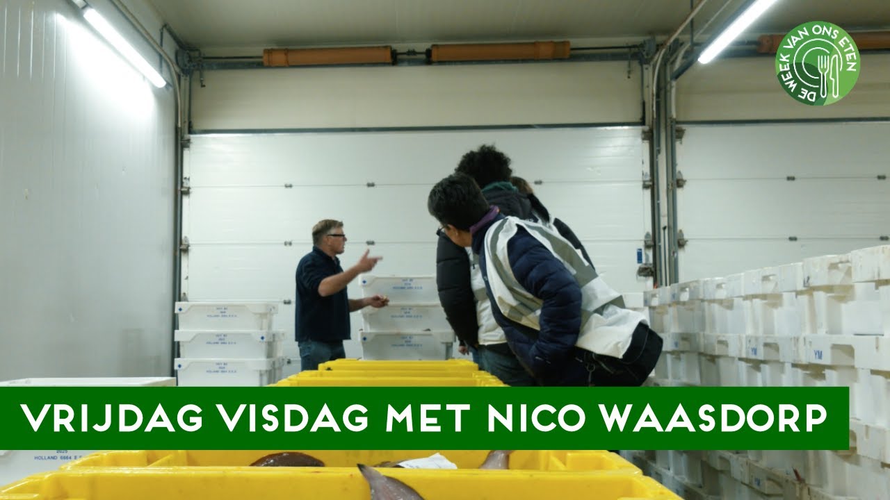 Vrijdag Visdag - een rondleiding op de visafslag van IJmuiden