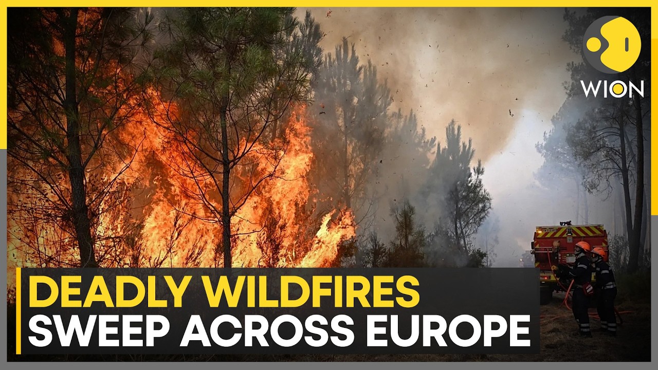 Europe Battles Deadly Wildfires as Extreme Heat Devastates Greece, Spain, France and Italy