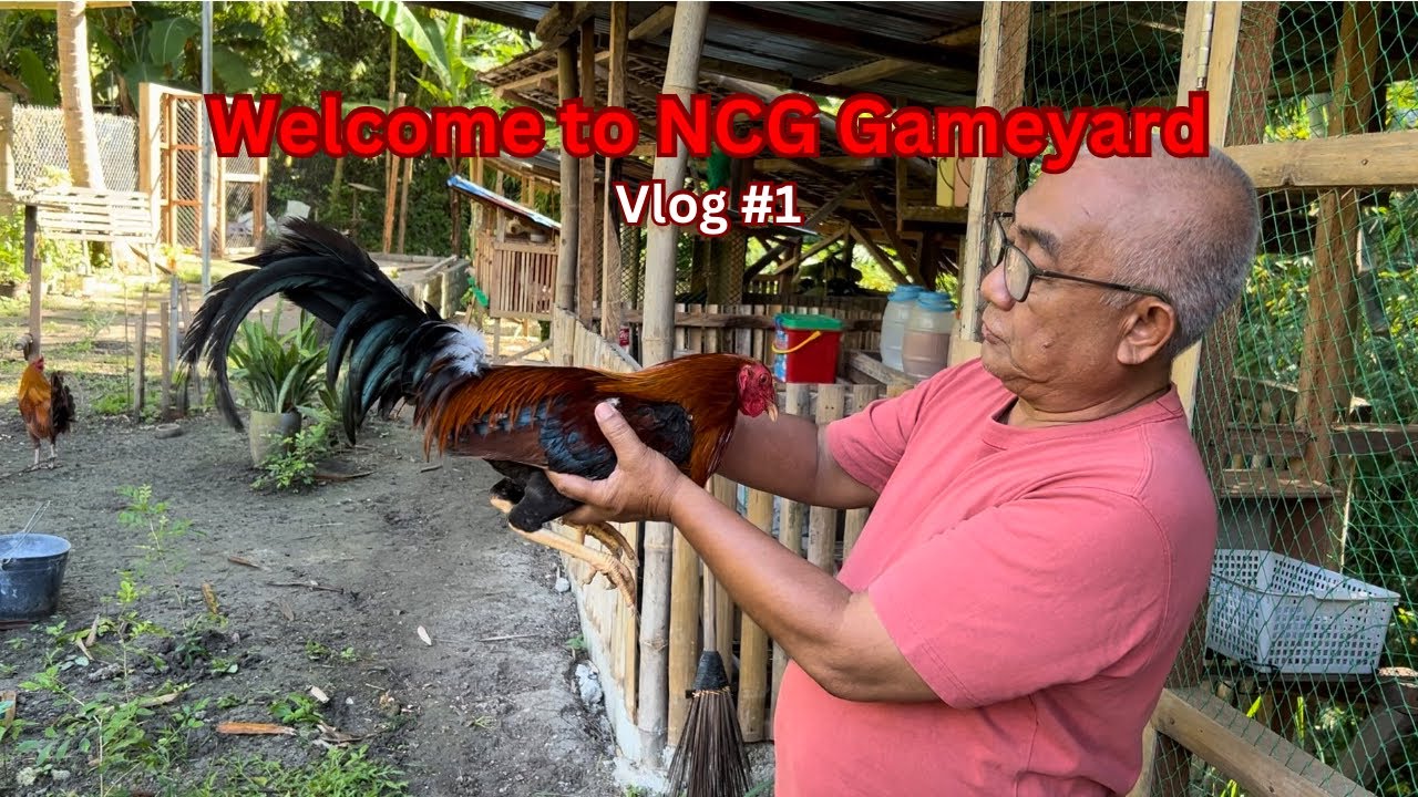 Welcome to NCG Gameyard | Vlog #1