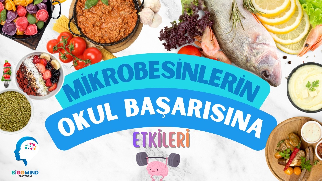 Mikrobesinler Çocukların Okul Başarısını Nasıl Etkiliyor? | Bilimsel Araştırmalar/Pratik Öneriler
