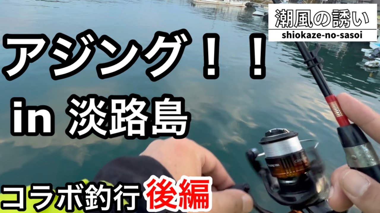 【淡路島】ハシゴ釣り！体力大丈夫？苦戦するも結果は…【アジング】