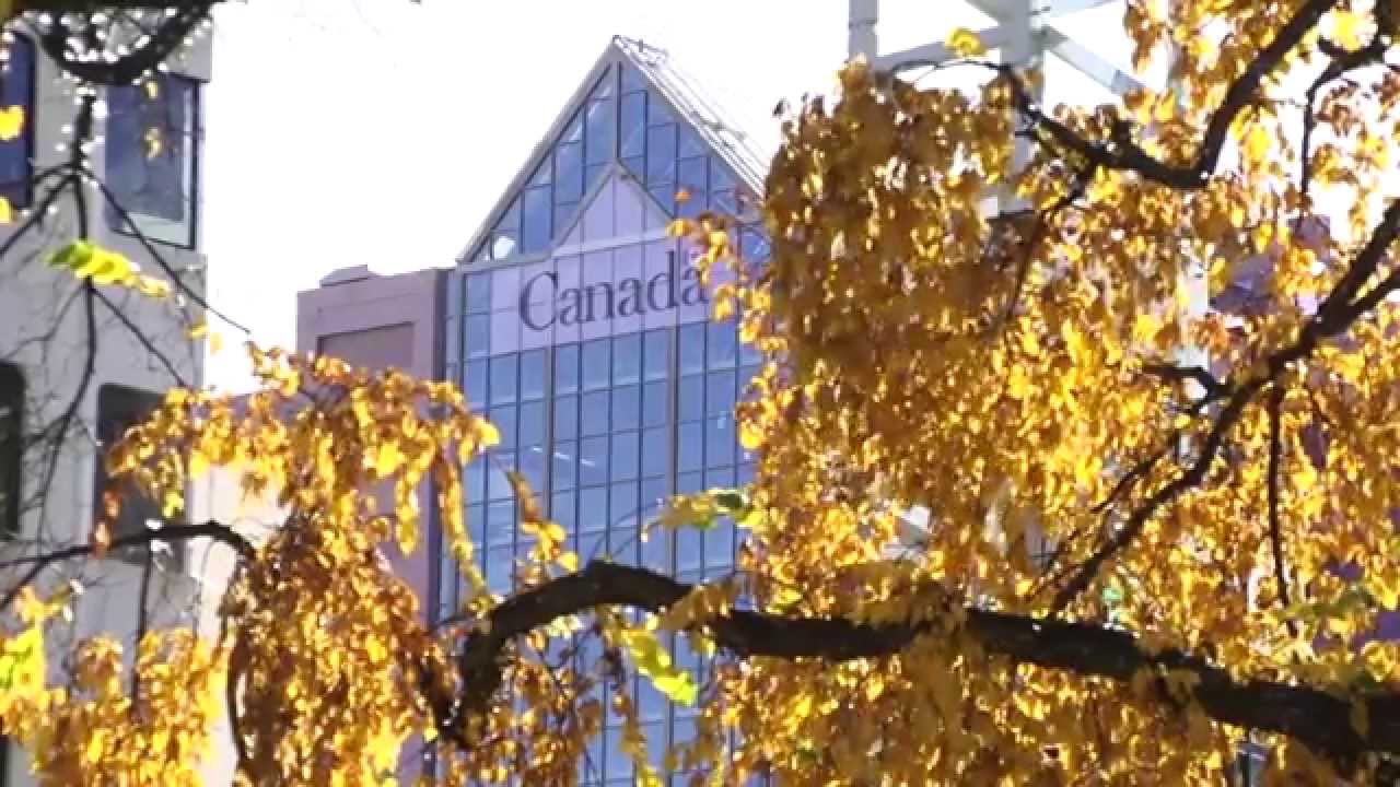 Deebstacks VLOG 1.5 - Detours, Mall Cops, & Insomnia in Edmonton