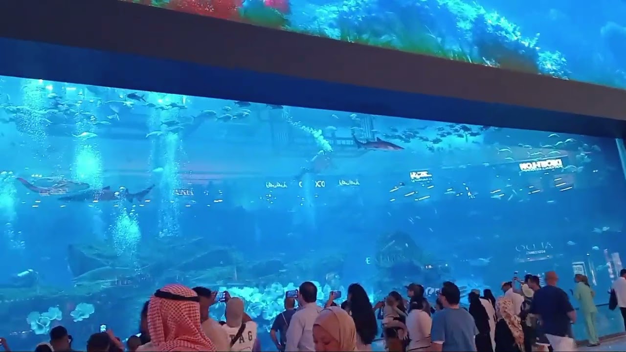 Dubai Mall Last Escapades of 2024 | Dubai Aquarium | Mermaid Show