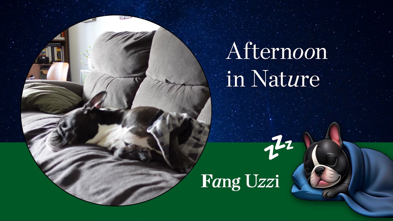 Dog Sleeping with Nature Sounds 🐾 Background Video for Focus & Relaxation | Fang's Nap