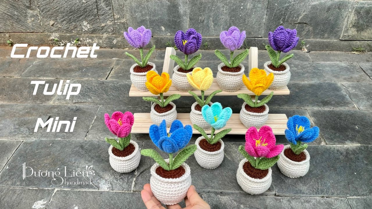 #190 Crochet Tulip Flower🌷 Móc Chậu Hoa Tulip Mini | Dương Liễu Handmade