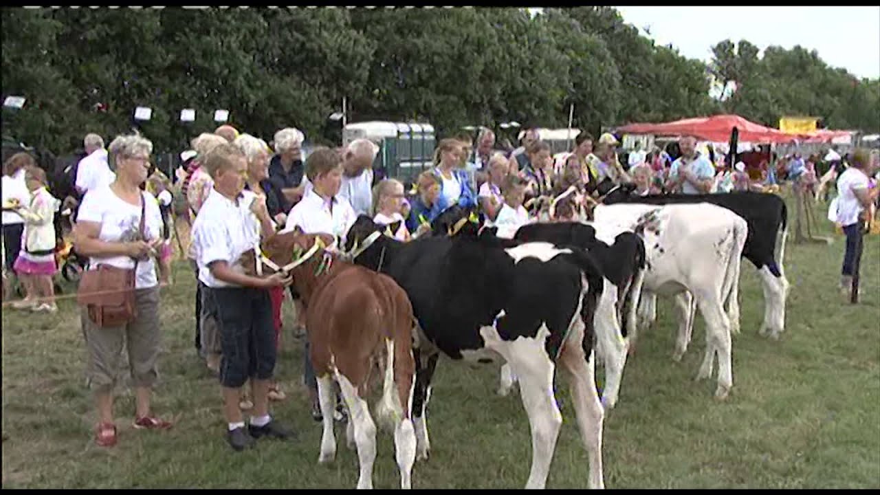 Oogstfeest 2013 Boerderij Museum Oldebroek