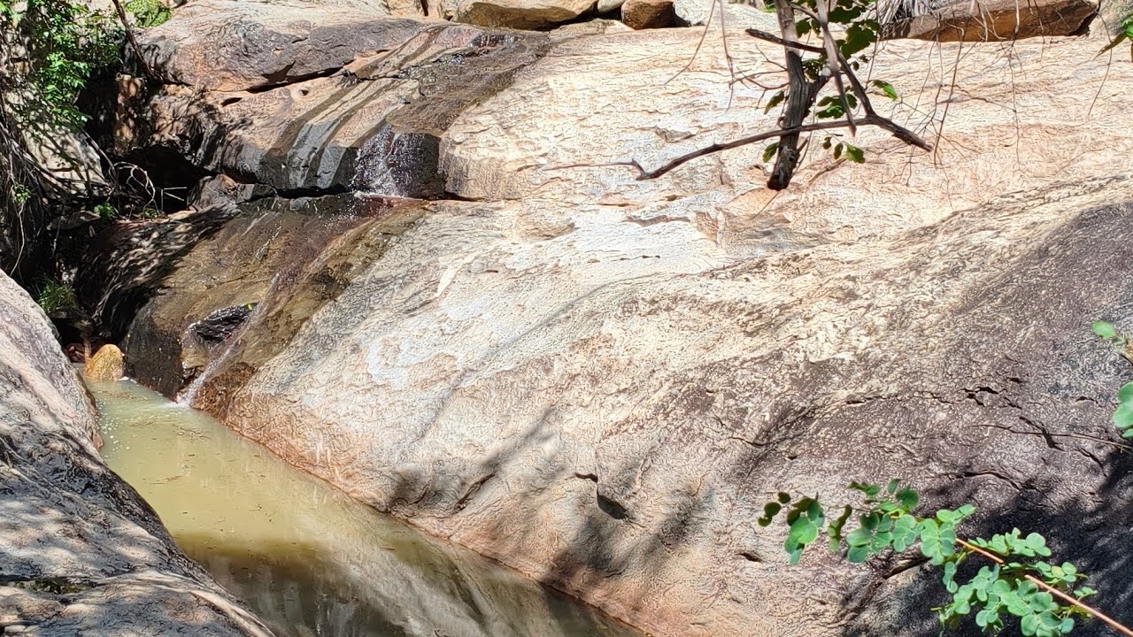 PASCAVAL : RIACHO NO MEIO DO MATO ! 