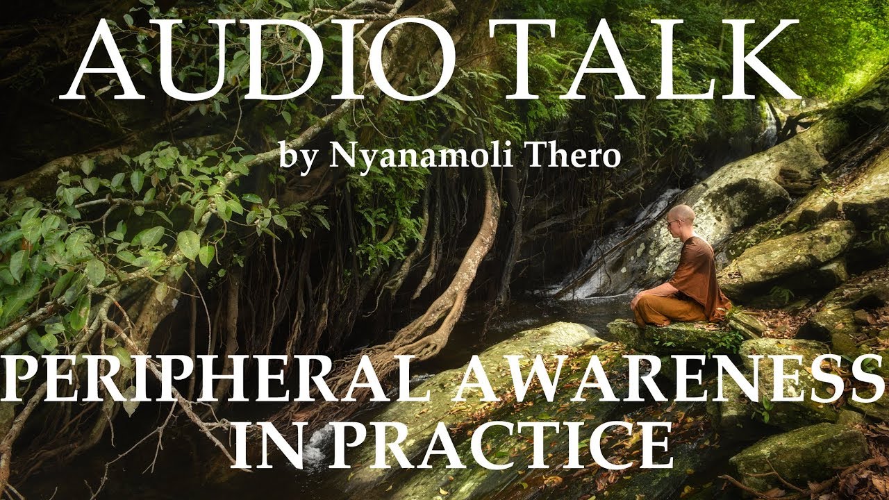 GUIDED CONTEMPLATION - Awareness - by Ajahn Nyanamoli Thero, Hillsidehermitage.org