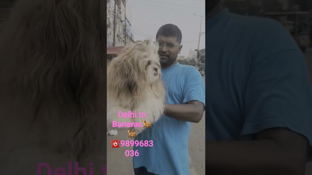 Anil Pet Shop all our India delivery