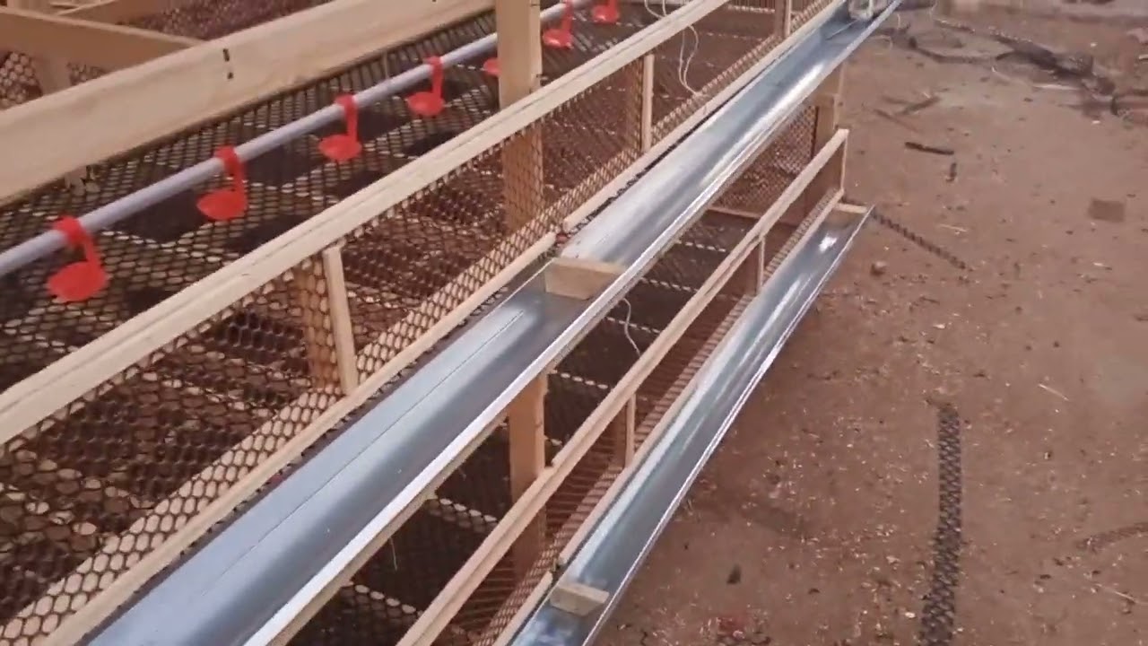 بطاريات دواجن التسمين افضل الاسعار وافضل التصميمات والخامات 01008622583