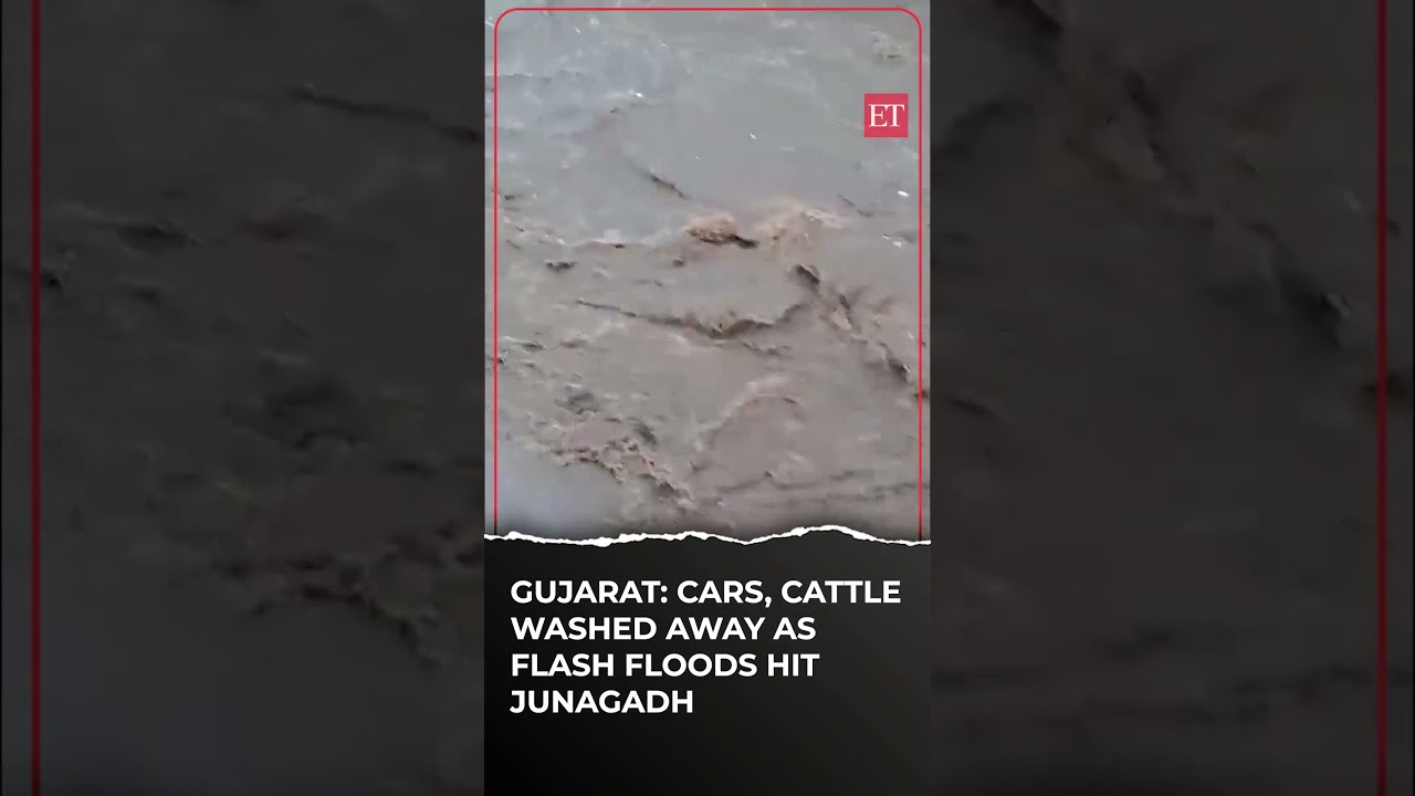 Gujarat: Cars, cattle washed away as flash floods hit Junagadh