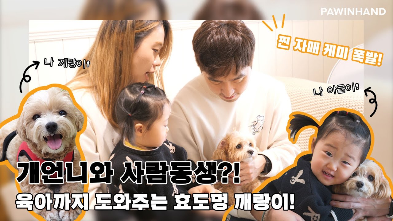 개언니와 사람동생?! 육아까지 도와주는 효도멍 깨랑이! (feat.깨랑이가 가족을 잃게 된 슬픈 사연)ㅣ유기동물 입양ㅣ유기견 입양 변화ㅣ유기견 입양 후기