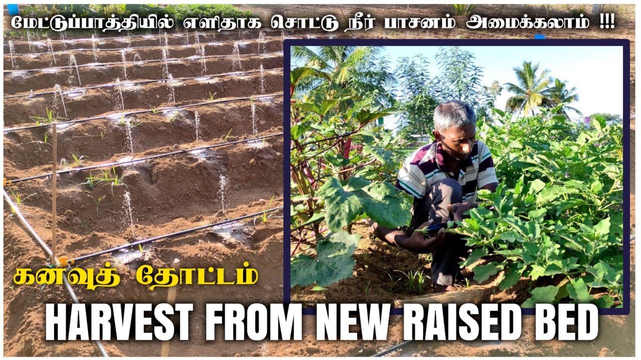 கனவுத் தோட்டம் | புதிய மேட்டுப் பாத்தியில் சிறப்பான அறுவடை |  Drip Irrigation idea for Raised Bed