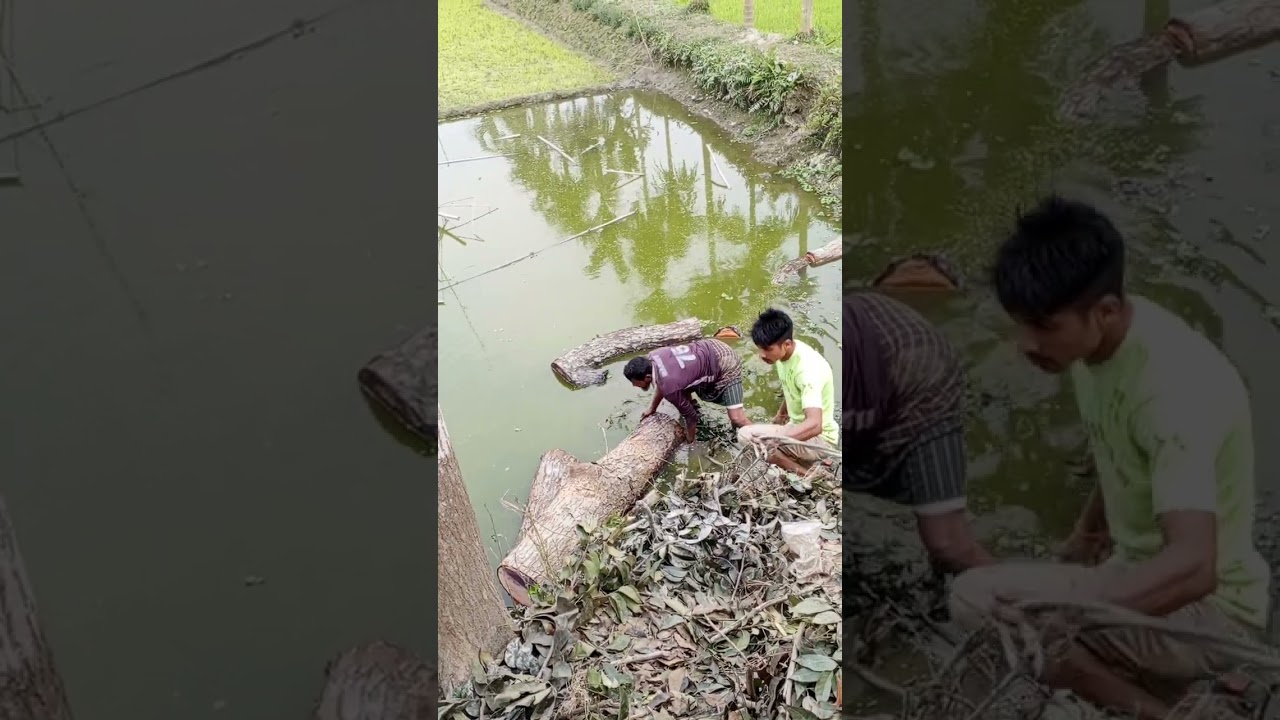 আসসালামু আলাইকুম,,,,  আমাদের কাজের একটি ভিডিও দিলাম 
