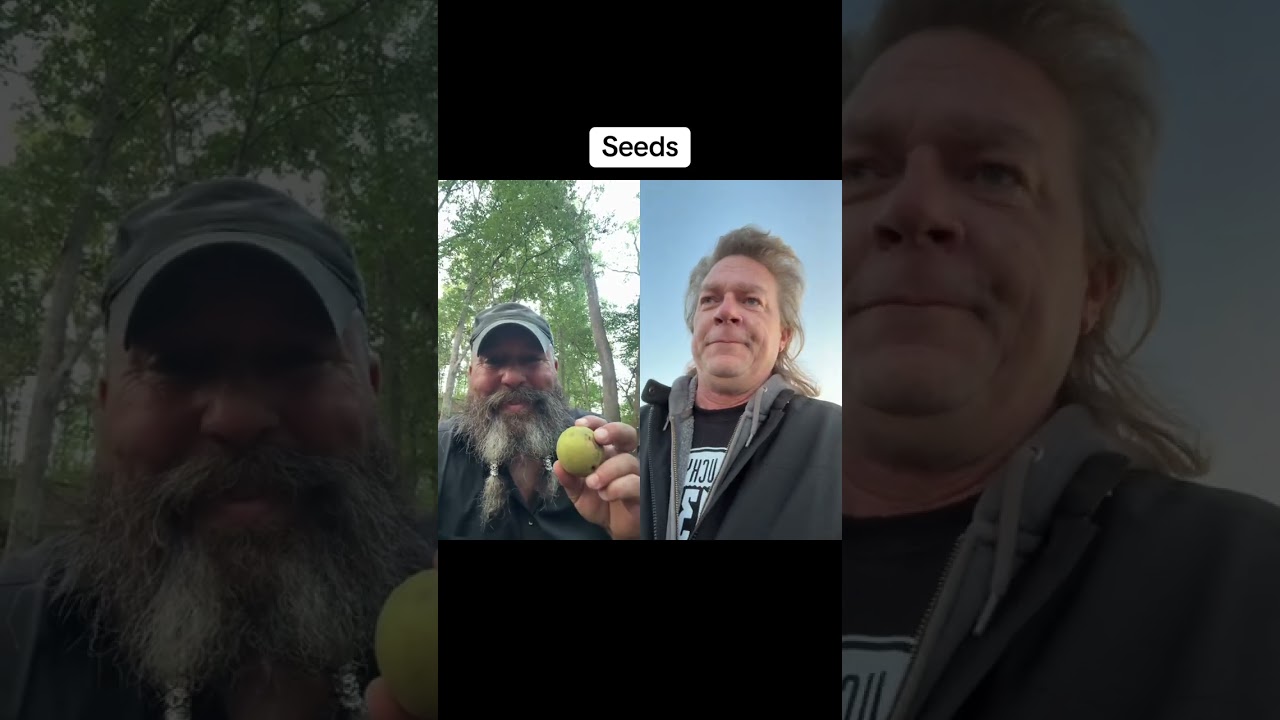 Seeds #duet #seeds #voice #heard #freespeech #freedom #revolution #walnut #growth #exponential #word