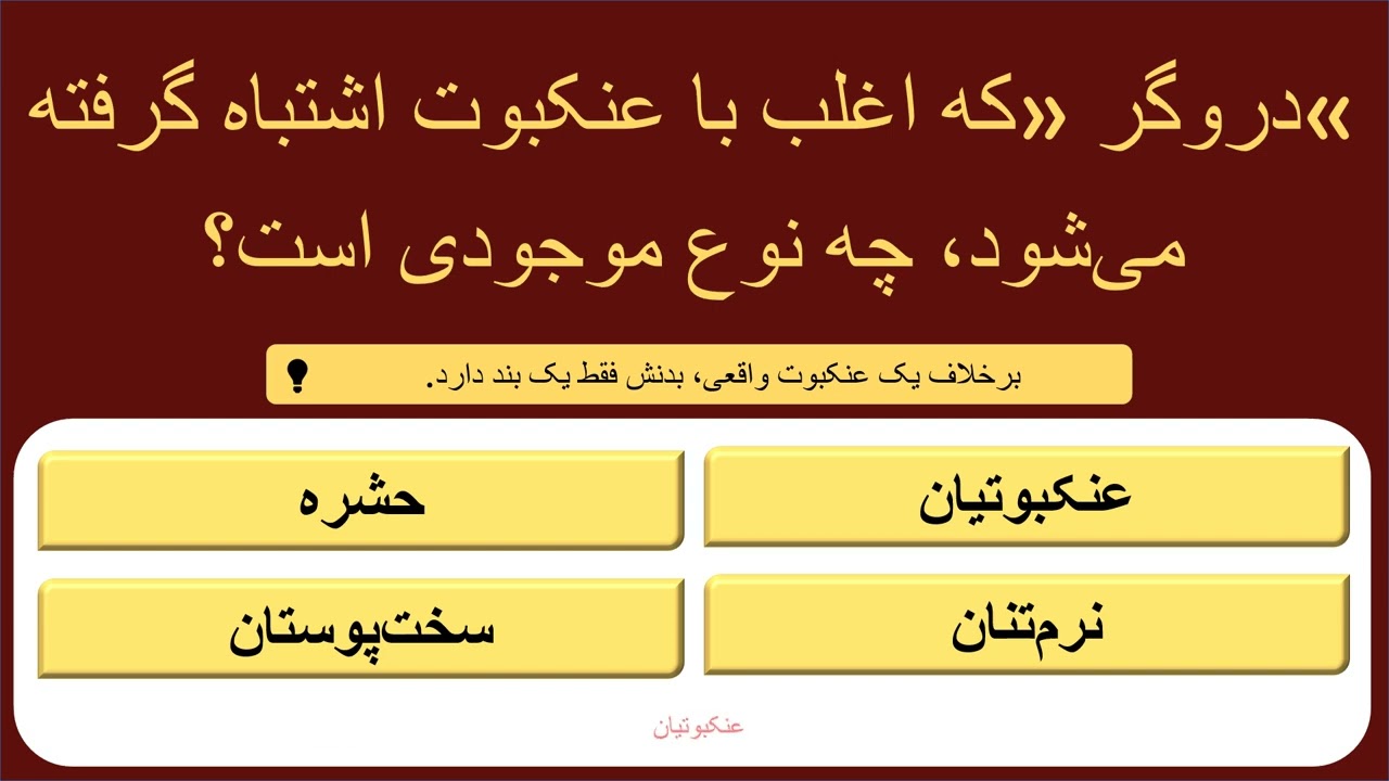 🧠 چالش بزرگ معلومات عمومی | آیا می‌توانید به هر ۱۵ سؤال این آزمون GK پاسخ دهید؟ 🤔🔥