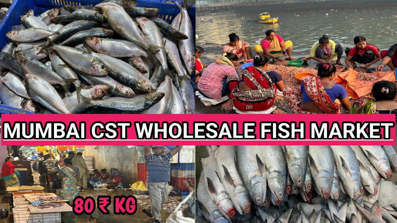 Mumbai Wholesale Fish Market | Mumbai CST Fish Market | Wholesale Fish Market In Mumbai 