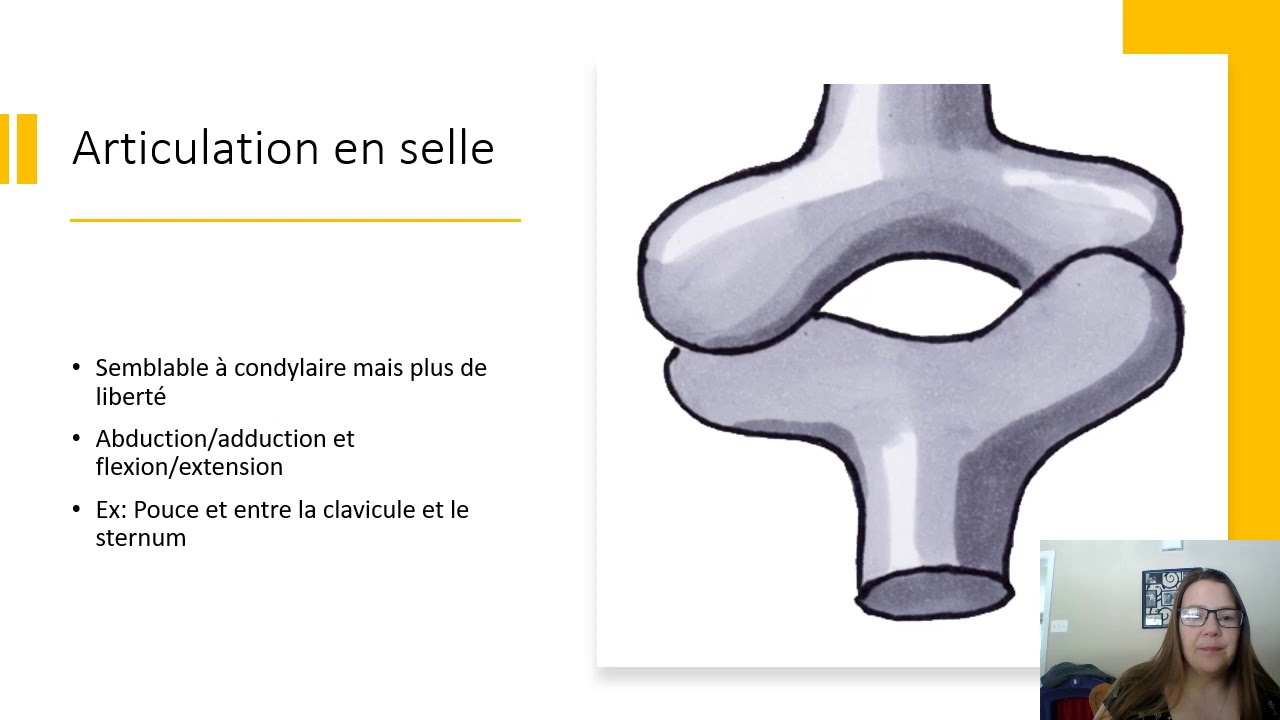 les types d'articulations