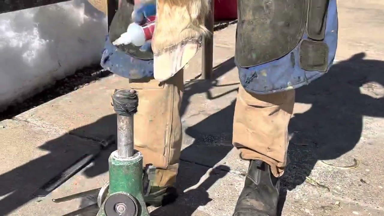 Hoof sealing with superglue before Versa Octo's are reset