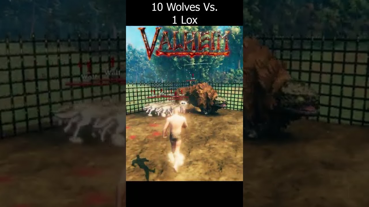 Valheim Battle - 10 Wolves Vs. 1 Lox #shorts #valheim #valheimbattle
