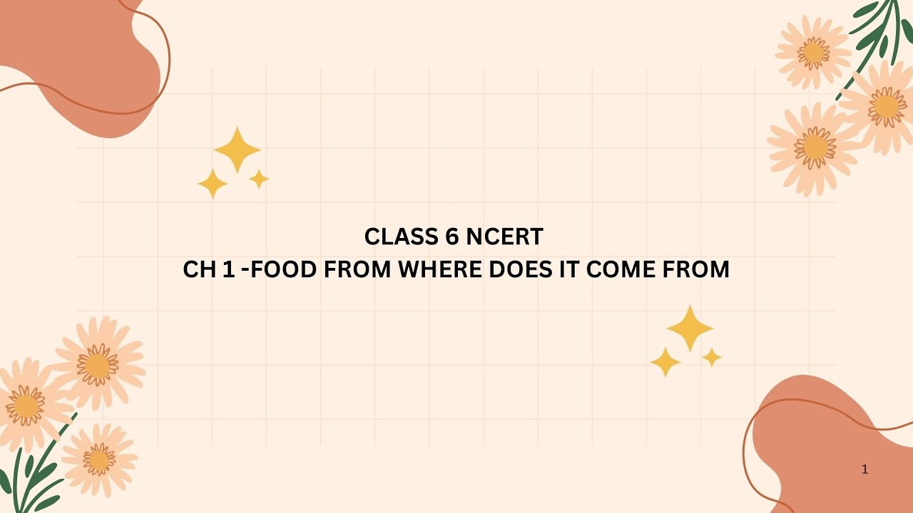  1.1 FOOD WHERE DOES IT COME FROM