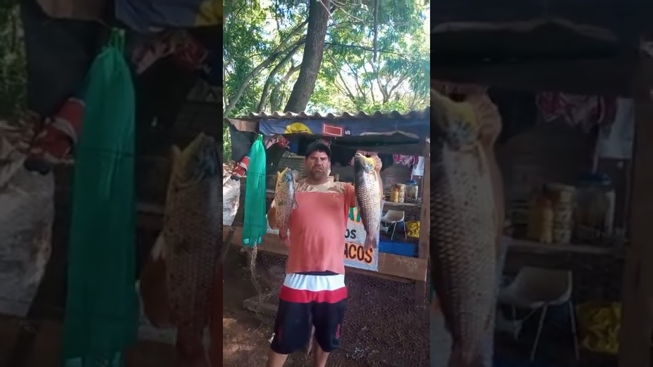 mata dos macacos