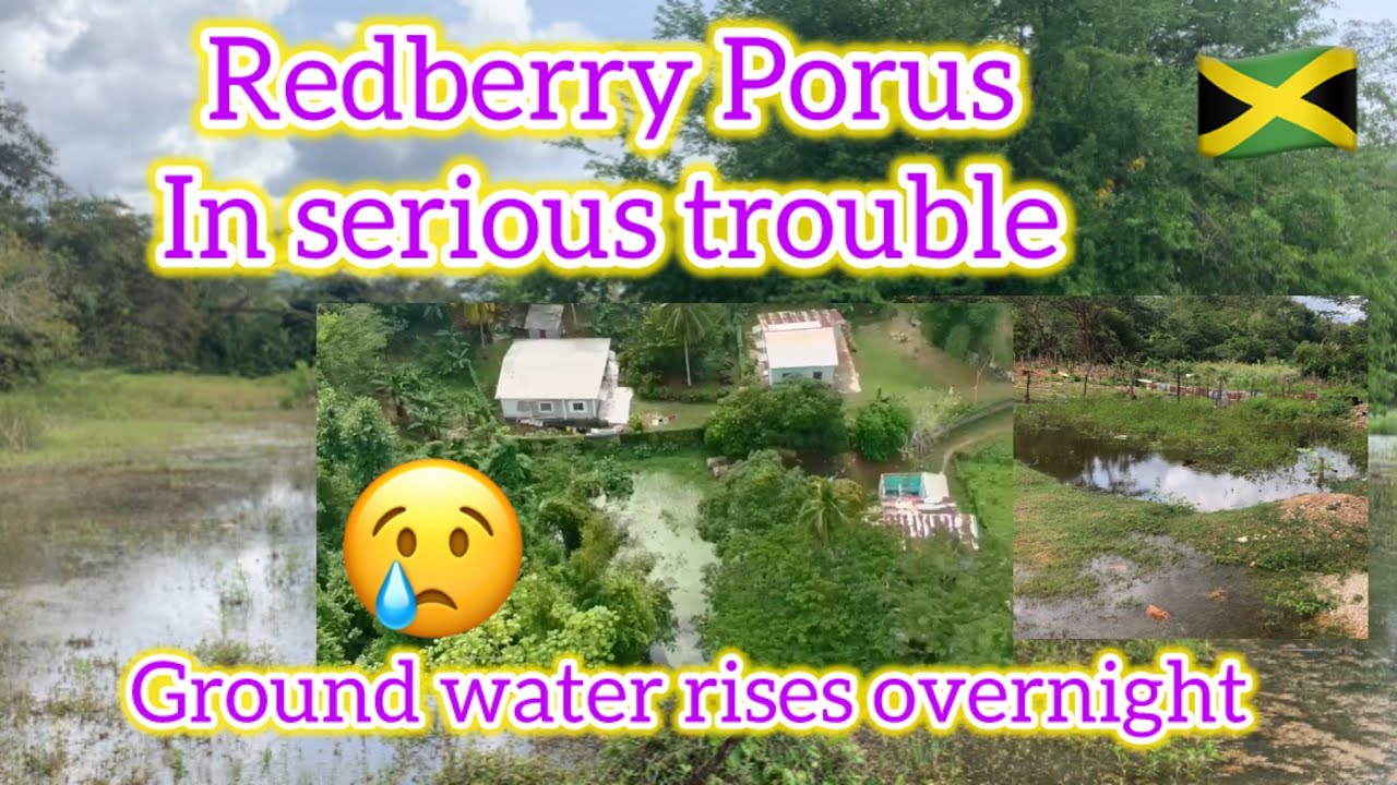 ⚠️Underground waters rise again in Porus manchester post hurricane Melissa ⚠️