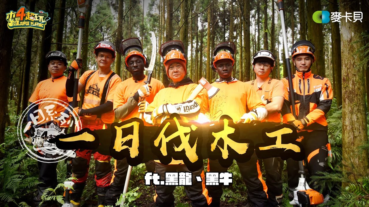 《一日系列第二百四十四集》邰哥與黑龍黑牛來挑戰伐伐伐伐伐木工🪓什麼!要三十年?! - 一日伐木工ft.黑龍 黑牛