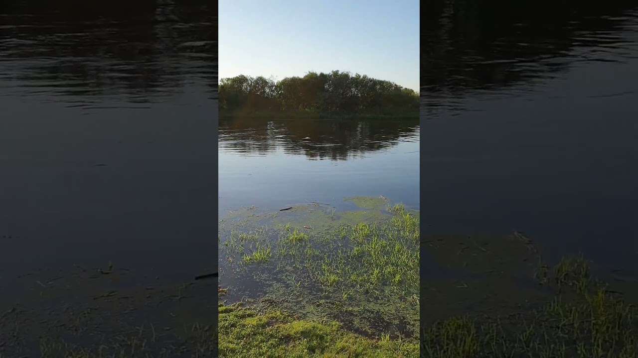 Berezina river. Belarus. 13 July 2020
