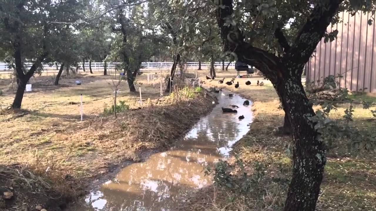 Низины на так называемой «ровной земле», вмещающие более 12 000 галлонов воды