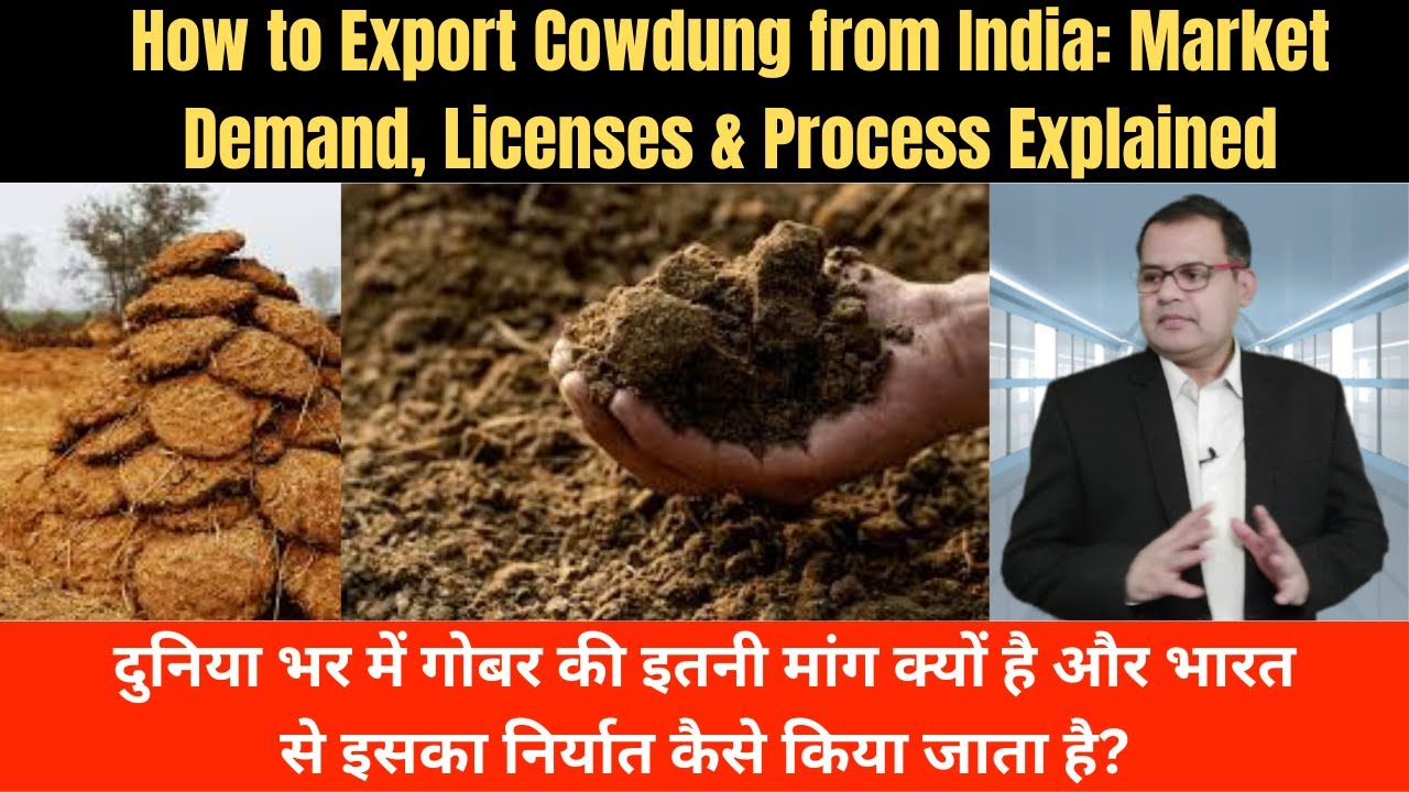 Global Cowdung Demand: How to Export Cowdung from India + License Guide #india #indian #export