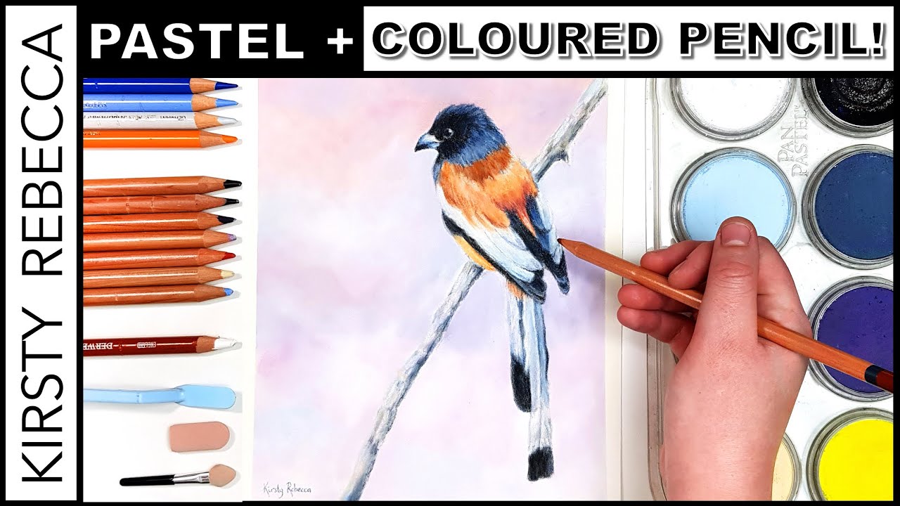 Pan Pastel with Coloured Pencil for Beginners! // YOUR Questions Answered!