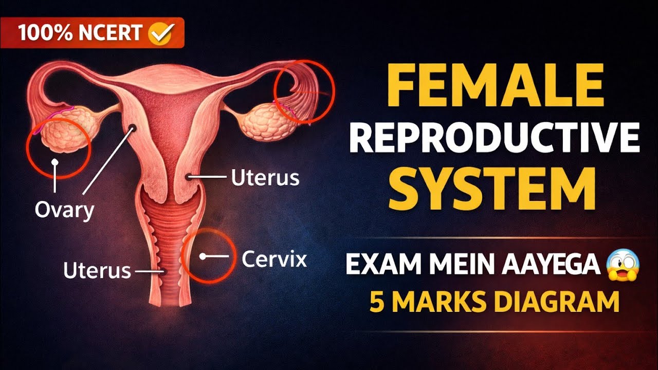 Female Reproductive System 😨 | Class 10 NCERT Diagram | Board Exam 2026 #prashantkirad #class10 