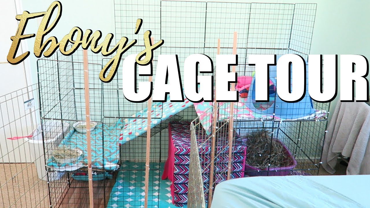 Ebony's Cage Tour! ⭐