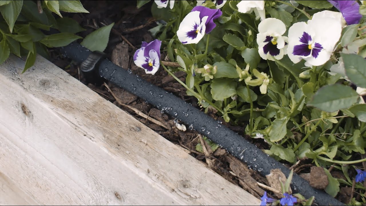 How to Set Up and Use Soaker Hose