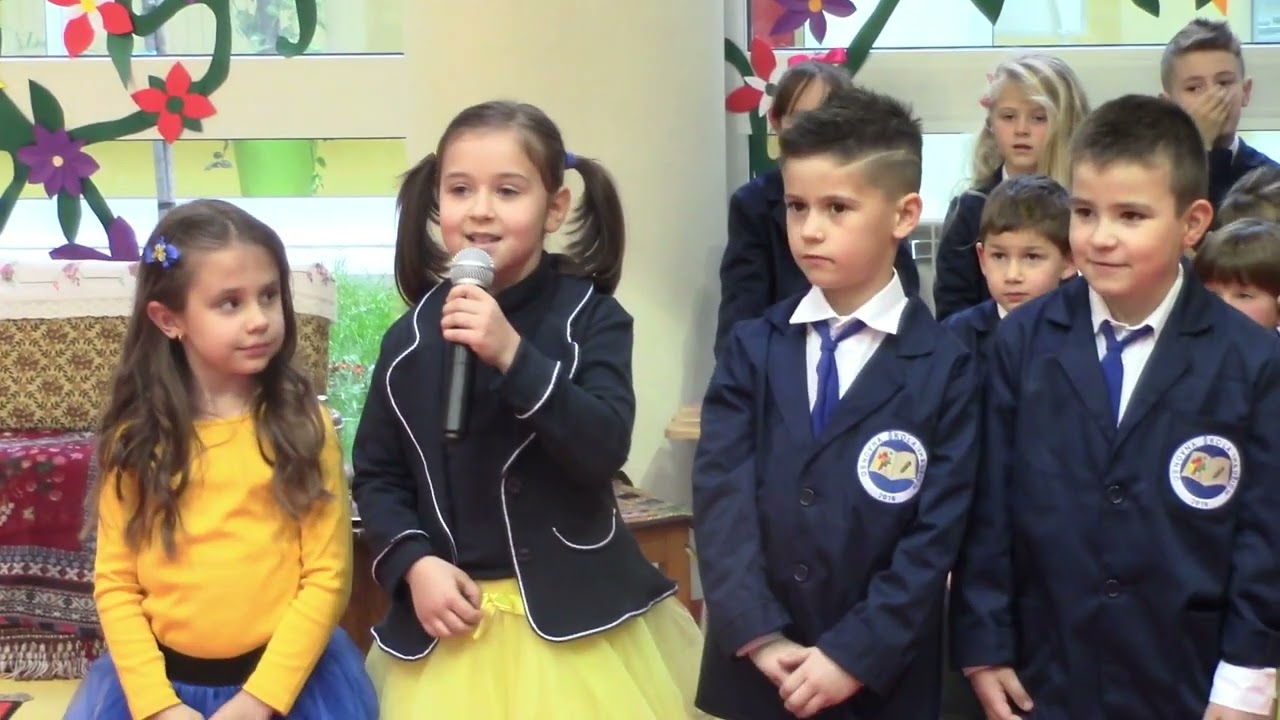 Priredba povodom Dana državnosti Bosne i Hercegovine (25.11.2017.)