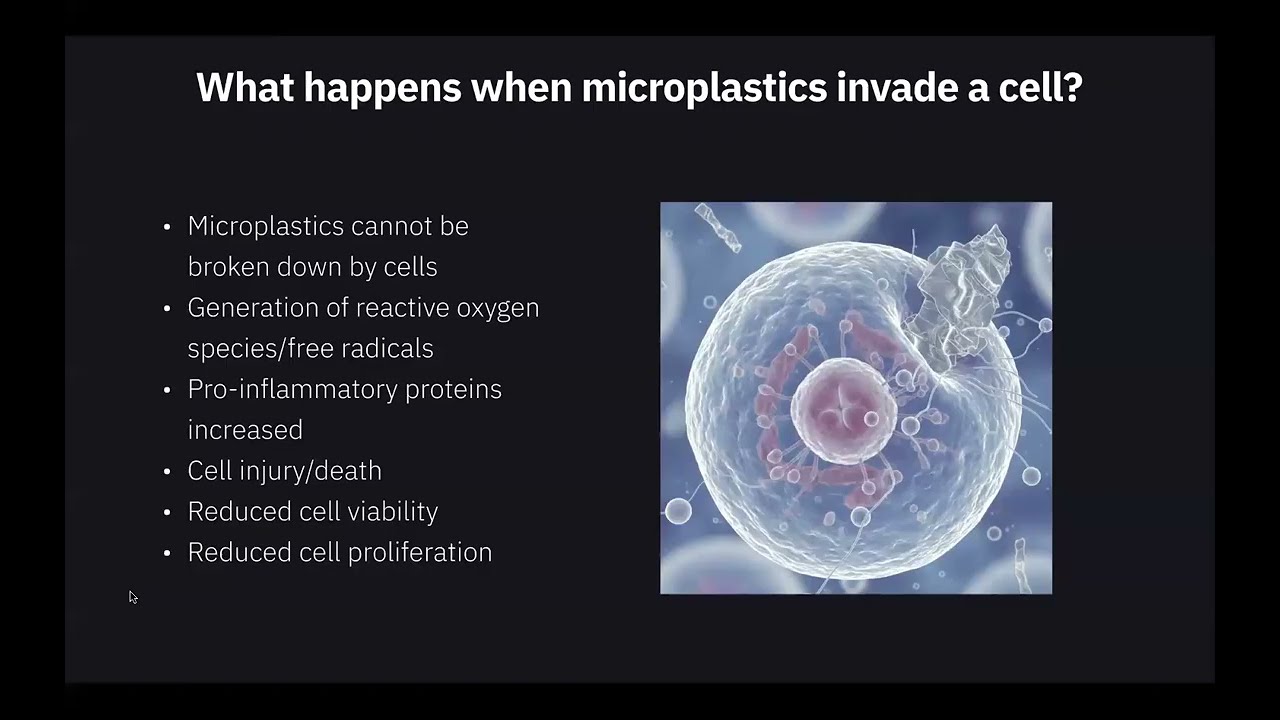 You’re Surrounded by Microplastics: What’s the Danger & What to do About it?