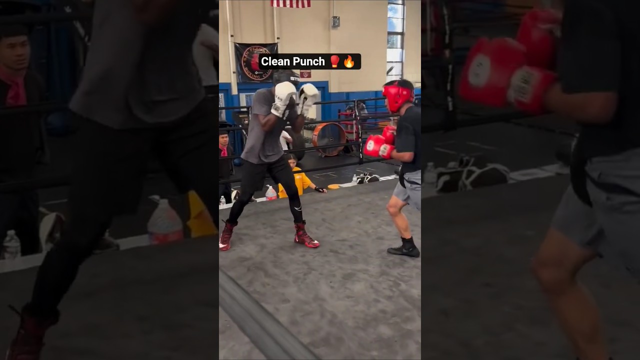 Clean Punch in Sparring 🥊🔥 | Boxing Skills #boxing #shorts
