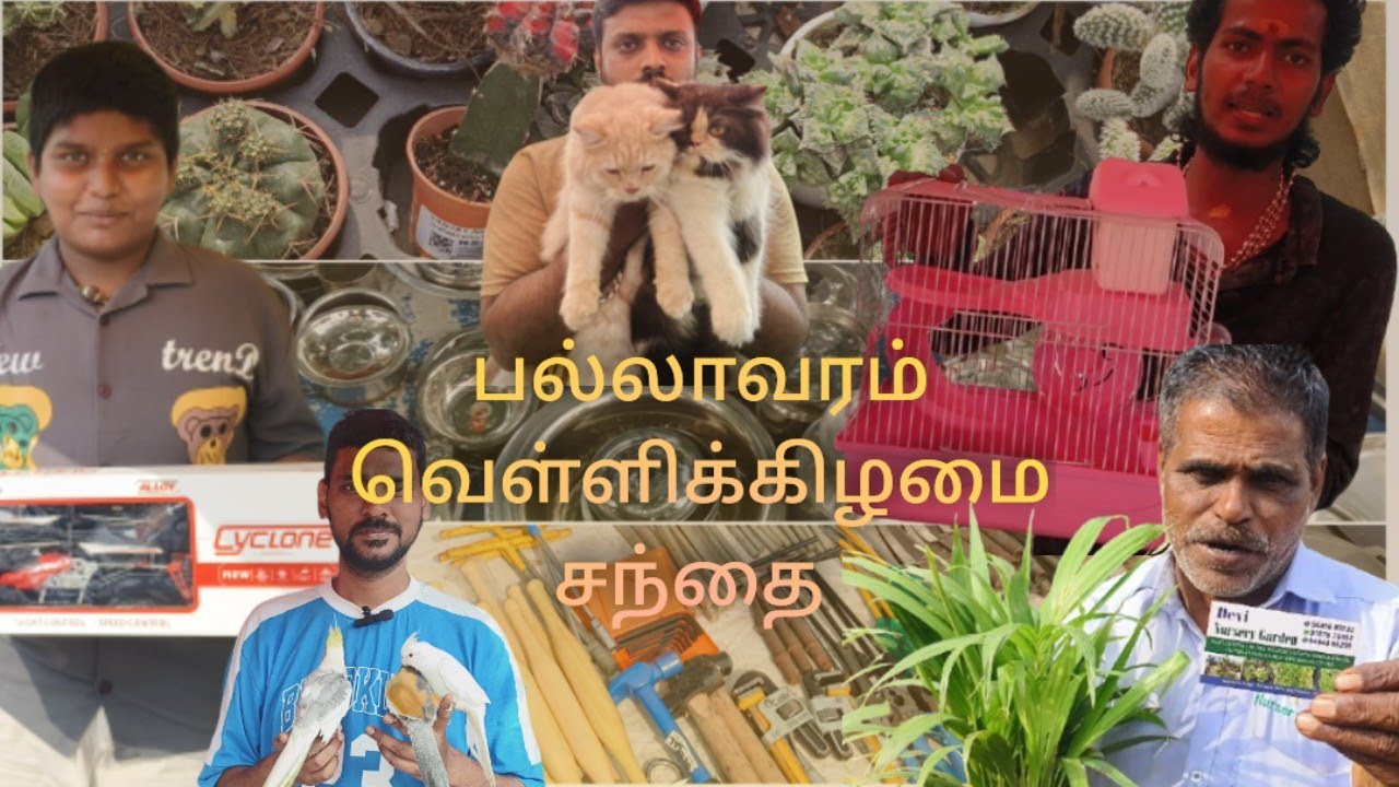 Pallavaram Friday Market 2026 | Lowest Price Plants & Exotic Pets | Devi Nursery Tour & Price List