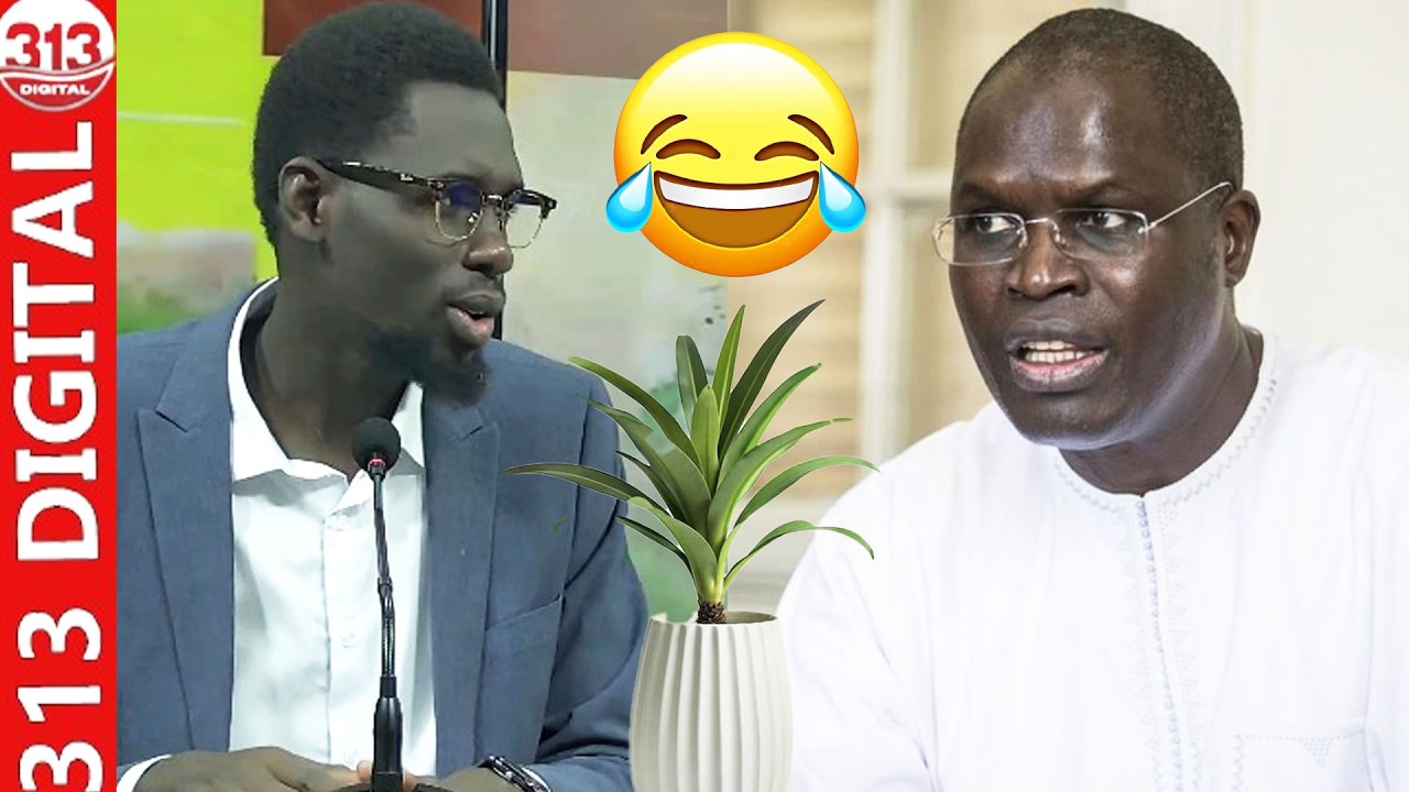 «Diapé ko pot de fleur ci politique bi» Daouda explose le plateau de rire après la sortie de Khalifa