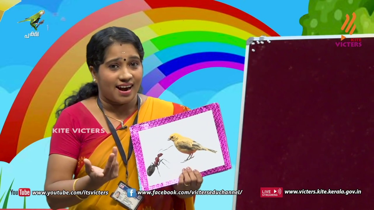 KITE VICTERS Kilikonchal Anganwadi Class 4