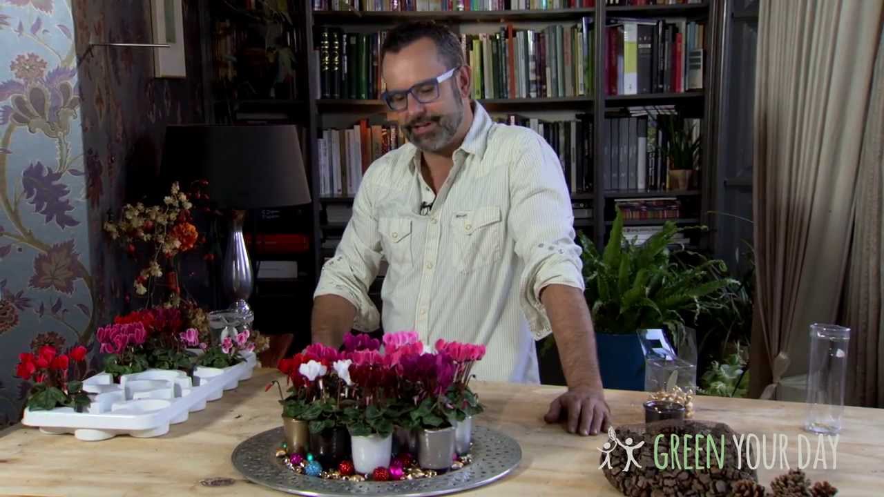 Miniplantjes op een dienblad