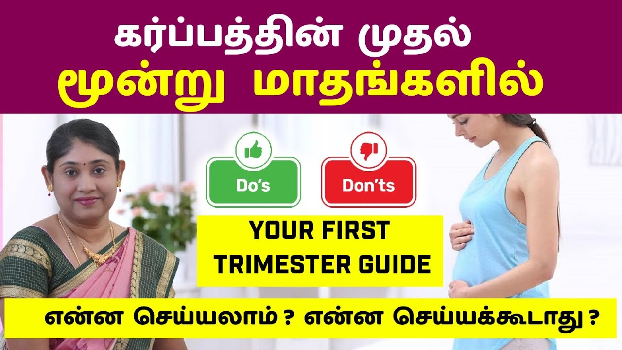 💖 First Trimester Pregnancy Guide  in tamil🍼 |