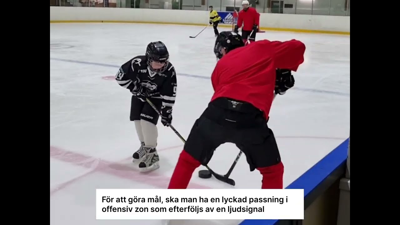 Synskadehockey i Pargas ishall