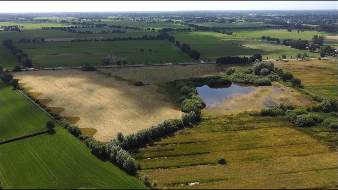 DJI Mini 2 - Natuurreservaat De Maatjes