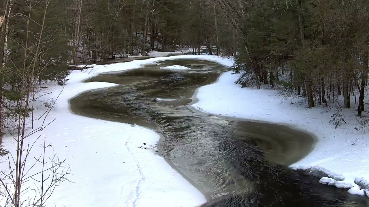 🌞 30 Min ASMR High Water Thawing Brook | Sunny Northwoods Spring Sounds 🌲💦
