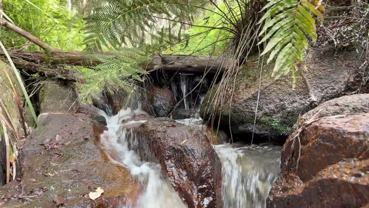 This Hidden Forest Waterfall Will Calm Your Mind in 60 Seconds 💧🌿