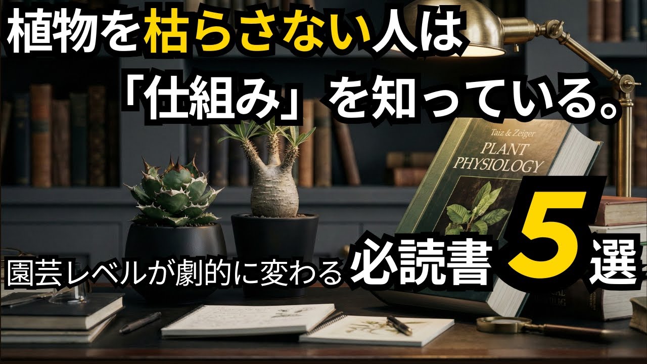 なぜ枯れる？「水やり3年」の壁を超えるための、植物生理学入門ガイド