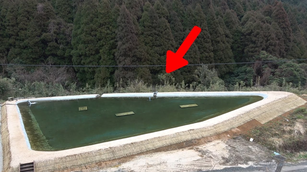まさかの【田んぼ】でニジマスが釣れた‼